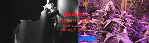 бошки Алексин